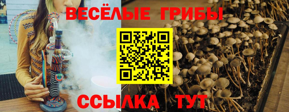 Нововоронеж  Галлюциногенные грибы прущие грибы  сколько стоит  Вход с VPN 